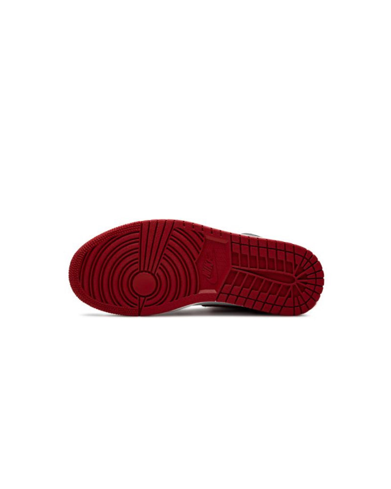 Nike Air Jordan 1 High OG "Bloodline/Meant To Fly sneakers